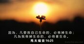 馬 太 福 音 16:25