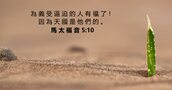 馬 太 福 音 5:10