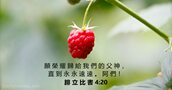 腓 立 比 書 4:20