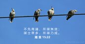 箴 言 15:22