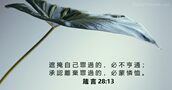 箴 言 28:13