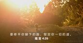 箴 言 4:26