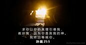 詩 篇 25:5