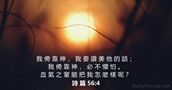 詩 篇 56:4