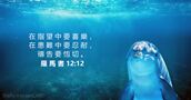 羅 馬 書 12:12
