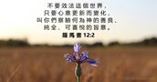 羅 馬 書 12:2