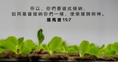 羅 馬 書 15:7