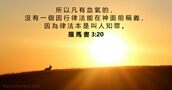 羅 馬 書 3:20