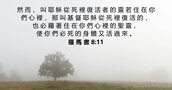羅 馬 書 8:11