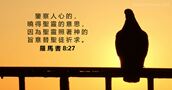 羅 馬 書 8:27