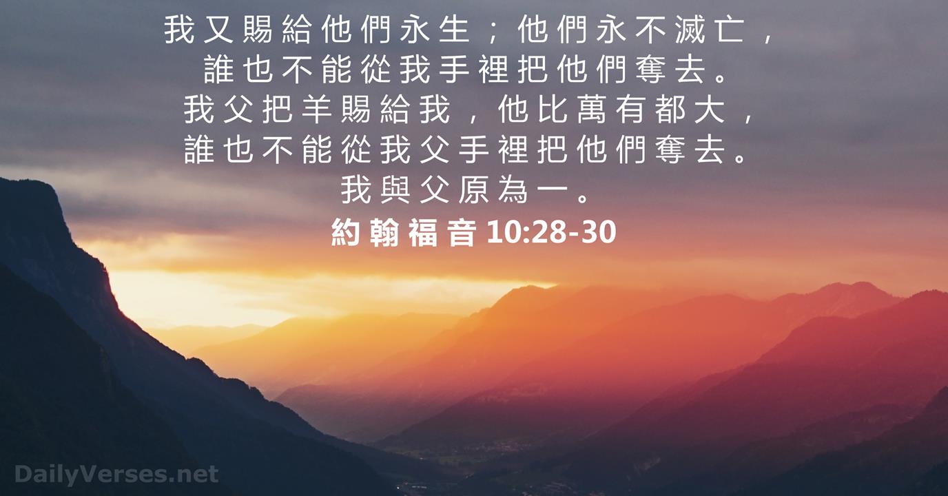 約翰福音10:28-30 - 聖經金句- DailyVerses.net